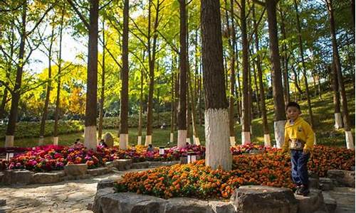 清凉山公园住宿_清凉山公园住宿价格