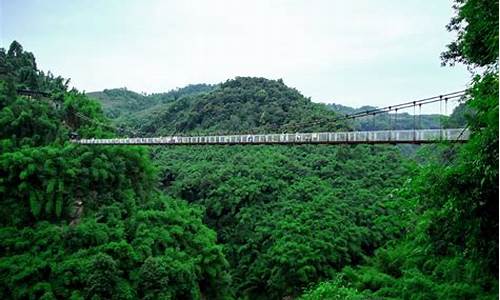 川西竹海峡谷自然景区_川西竹海景区在哪