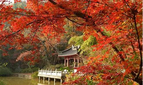 南京栖霞山风景区图片_南京栖霞山风景区图片高清